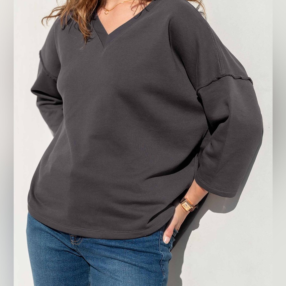 Mersea Frenchie V-neck Sweatshirt - NWT